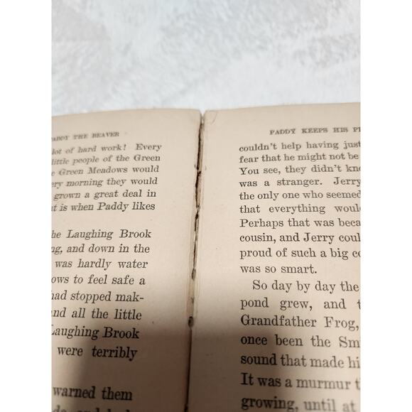 Adventures of Paddy the Beaver - 1917 Hardcover Edition - Picture 7 of 7